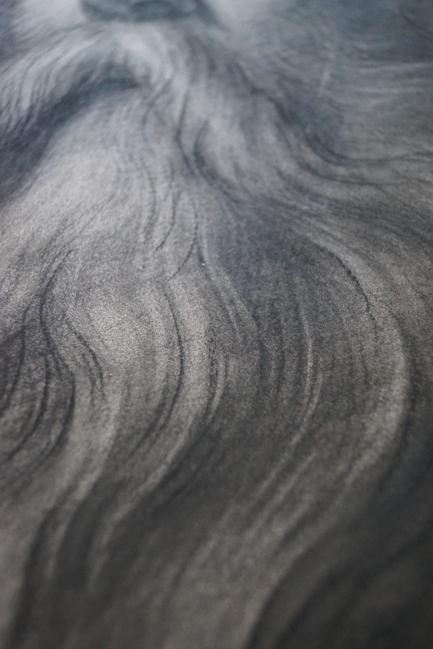 Gemälde Portrait Zeichnung BÄRTIGER MANN