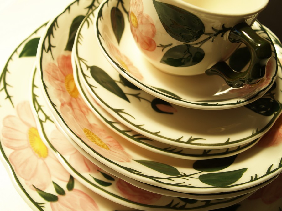 Villeroy & Boch Wildrose wie neu Aktion Platten