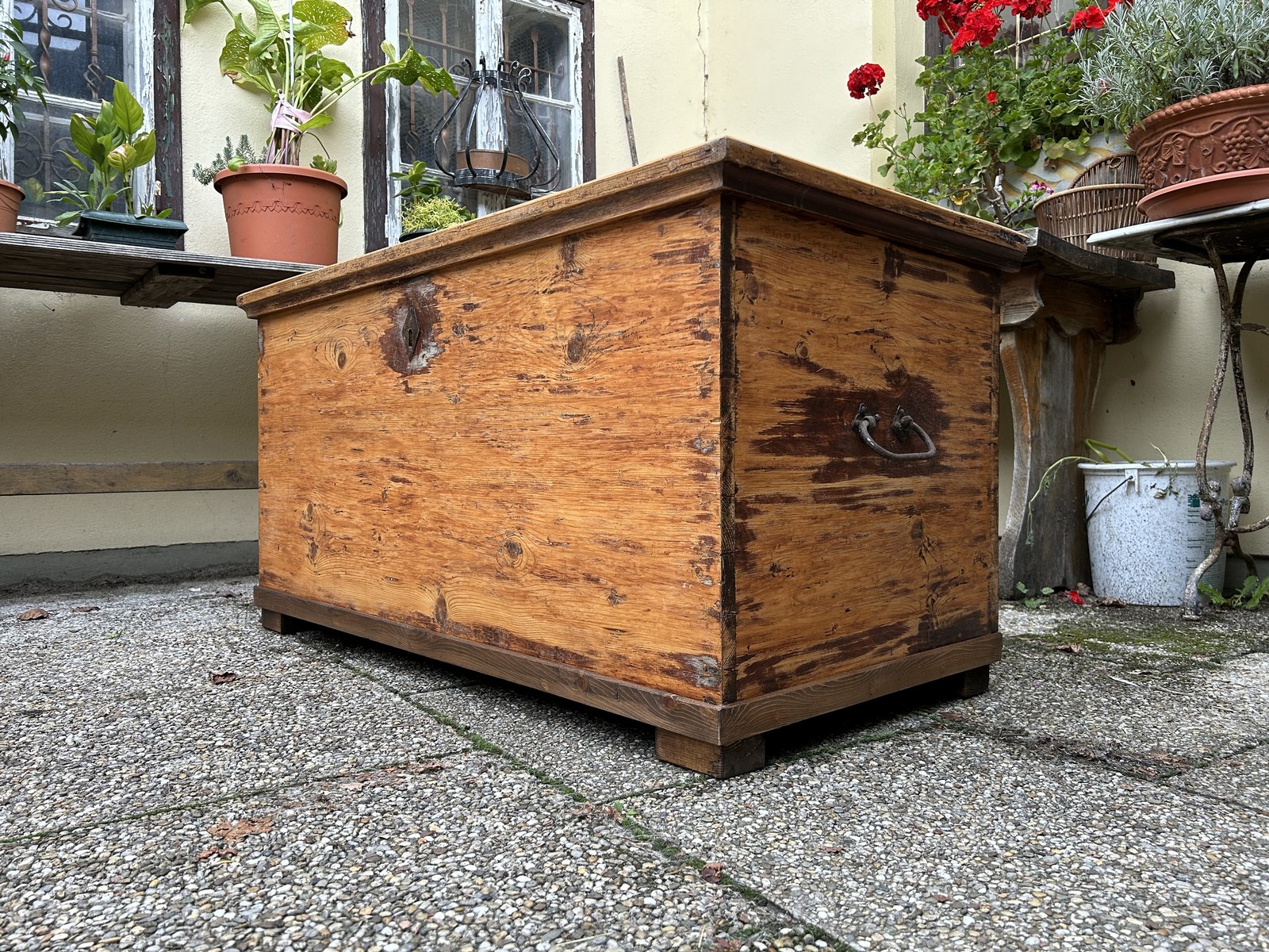 Truhe Weichholz antik Landhausstil Bauerntruhe ca. 1870 Flachdeckeltruhe Barock antik Massivholz