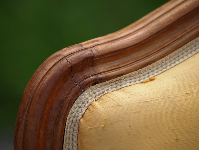 Stühle antike Sessel für Salon oder Speisezimmer