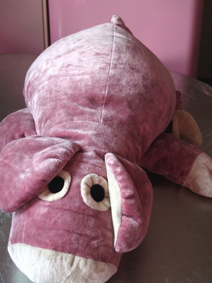 Bretz Schwein rosa Kissen