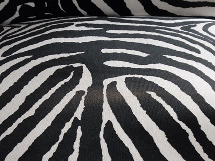 Bretz Zebra