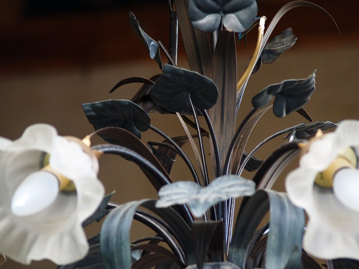 Lüster Blütenschirme