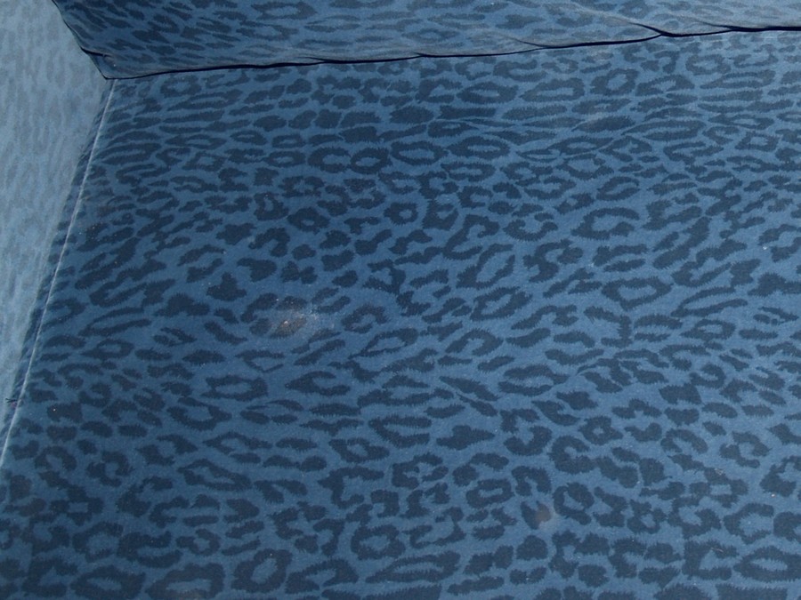 Bretz Sofa gebraucht