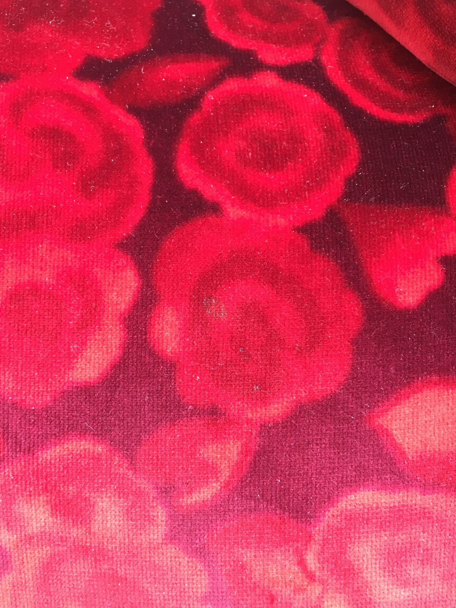 Bretz Recamiere Mammut