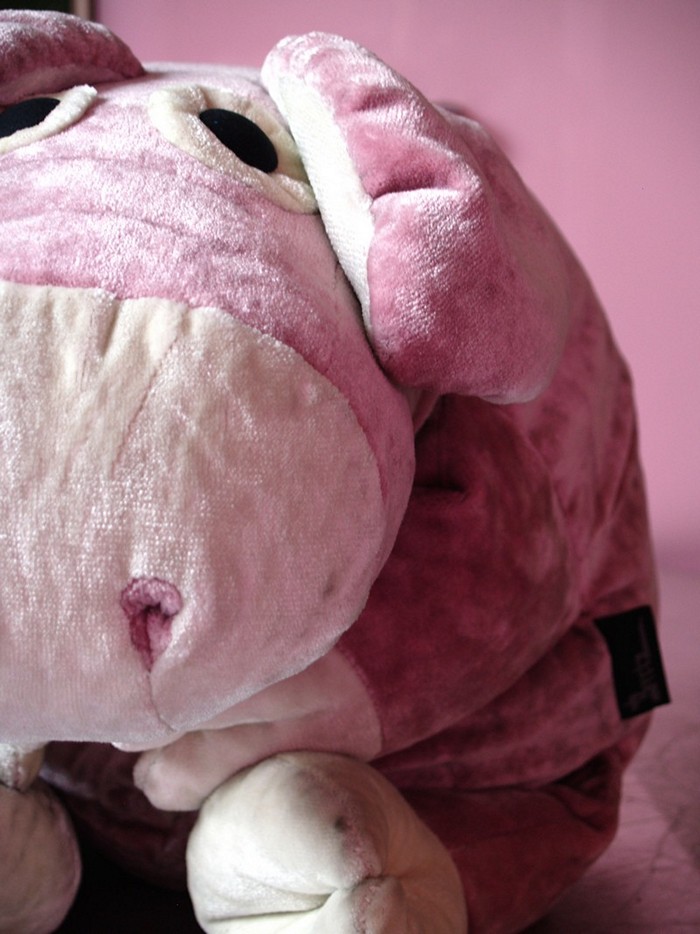 Bretz Schwein rosa Kissen