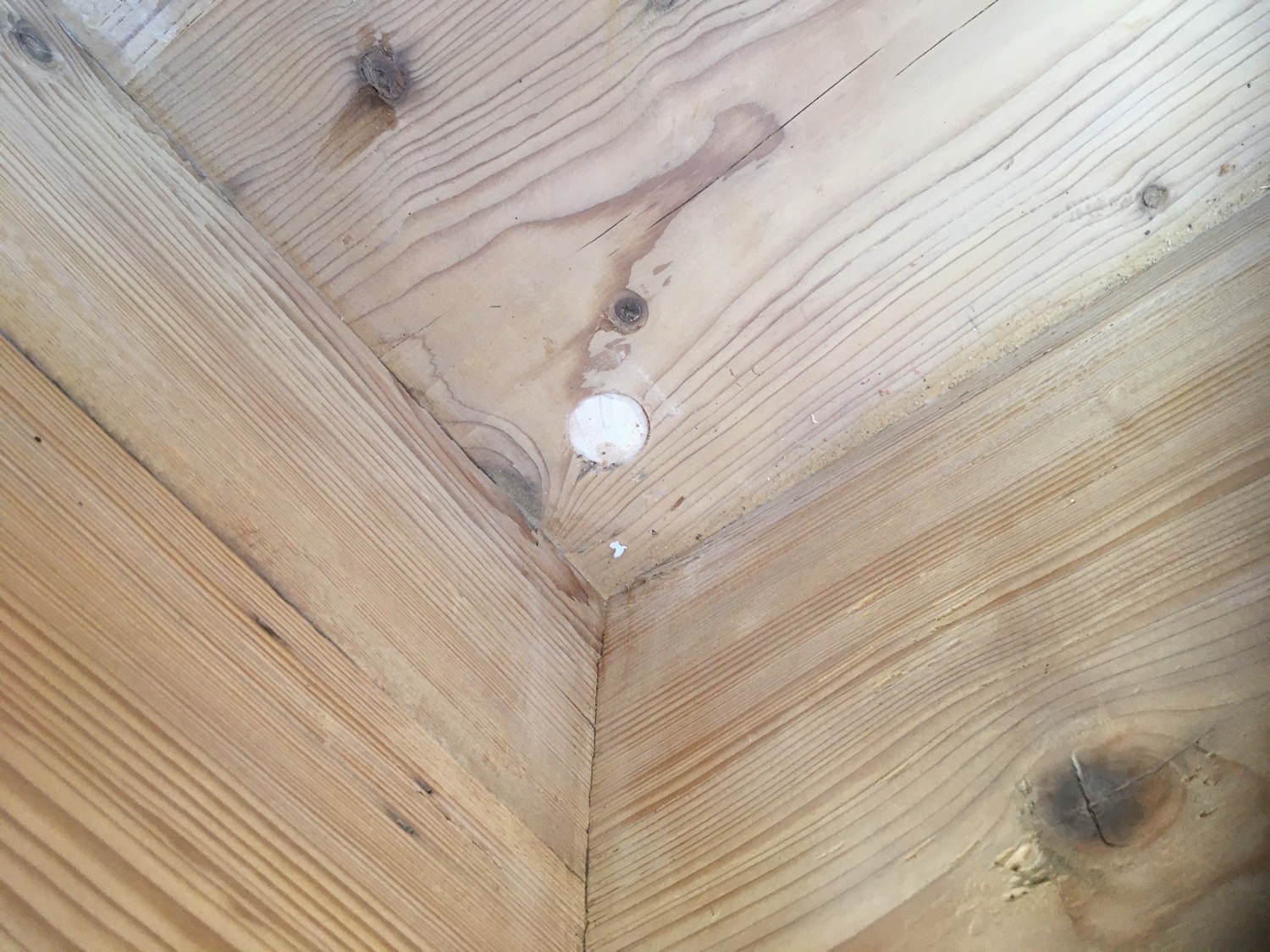 Truhe Landhaus Weichholz antik groß Flachdeckel Kiste groß