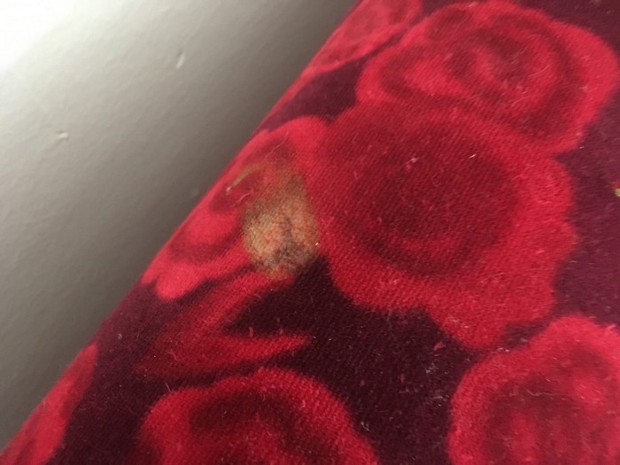 Bretz Sofa rot