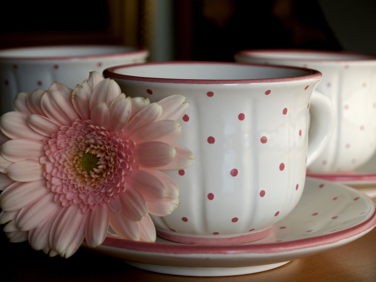 Gmundnerkeramik Tupferlrosa Kaffeetassen Landhausstil