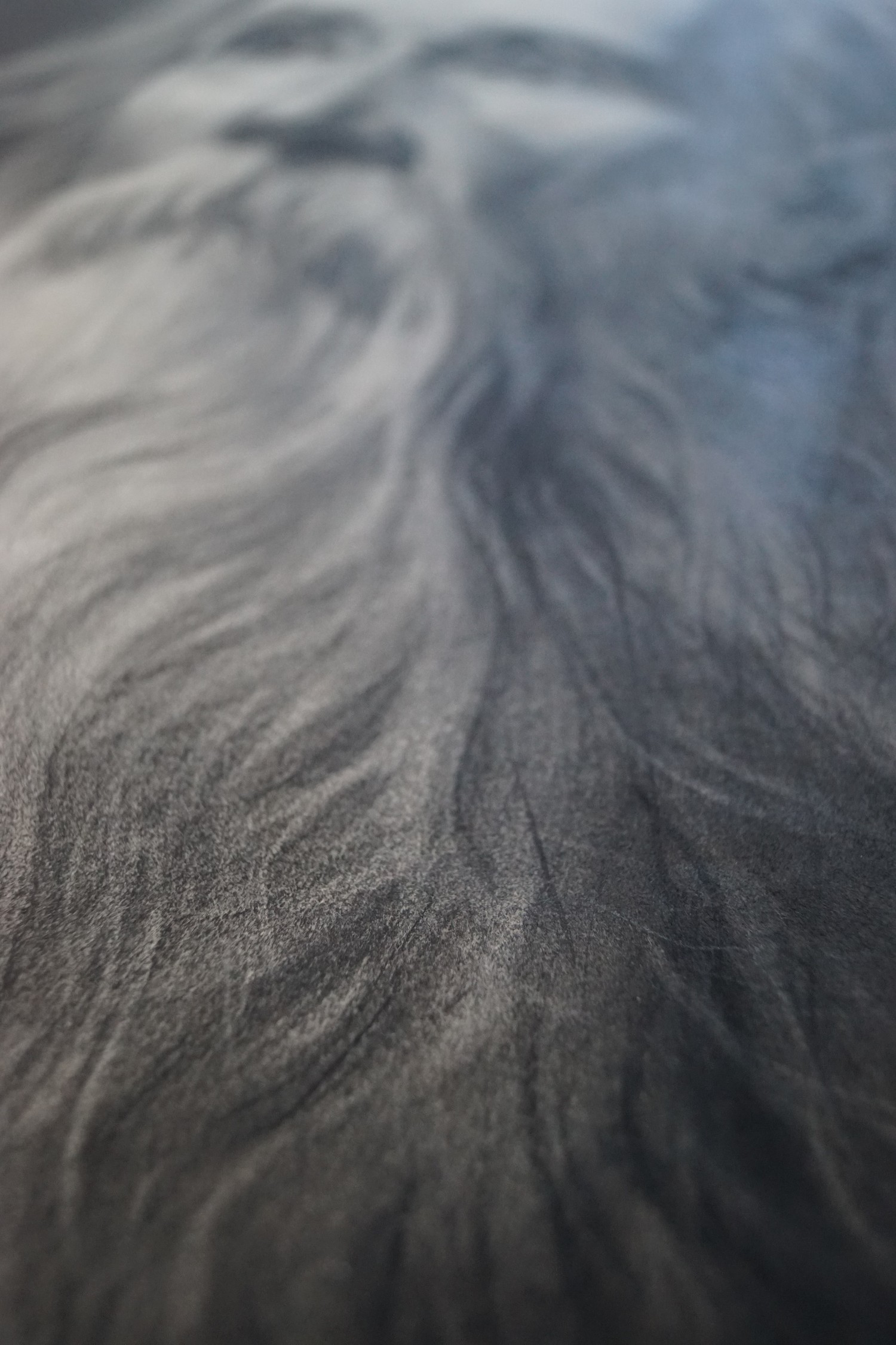 Gemälde Portrait Licht-Schatten-Zeichnung BÄRTIGER MANN