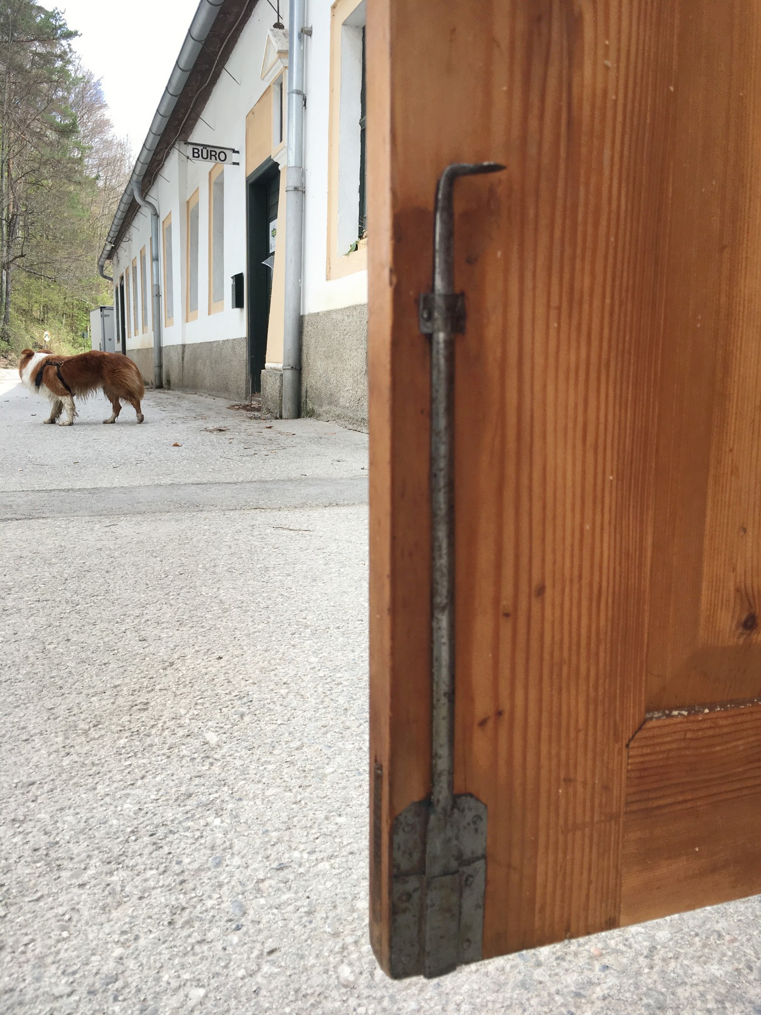 Biedermeier Schrank Keilschrank Hallenschrank zerlegbar Nussholz Original