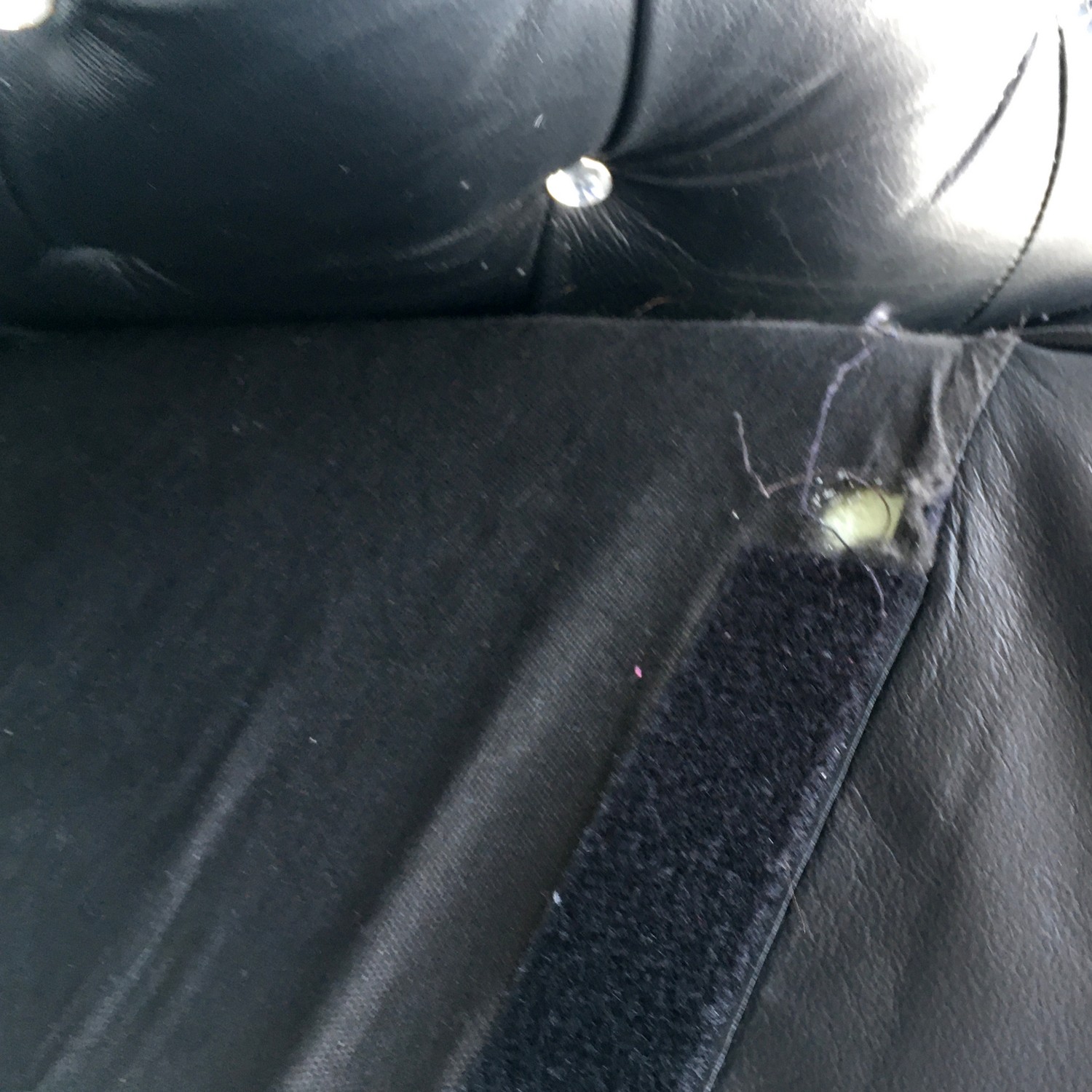 Chesterfield Sessel Clubsessel schwarz mit Kristallsteinen Knopfheftung Fauteuil