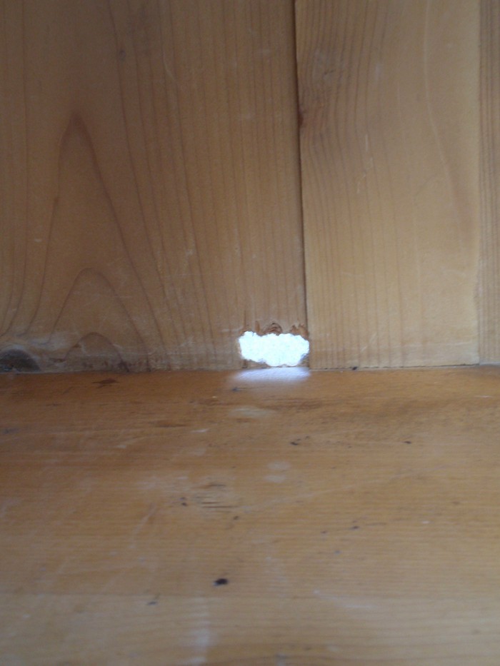 Buecherschrank Antikstil