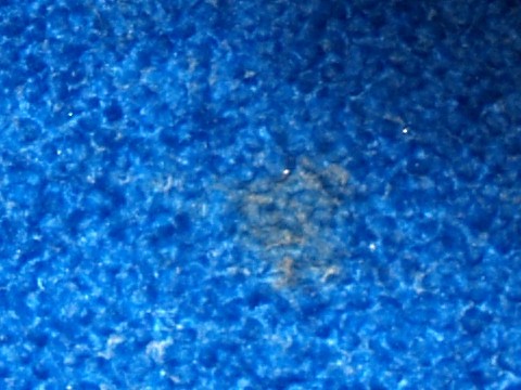 Bretz Sofa Pool Gebrauchsspuren