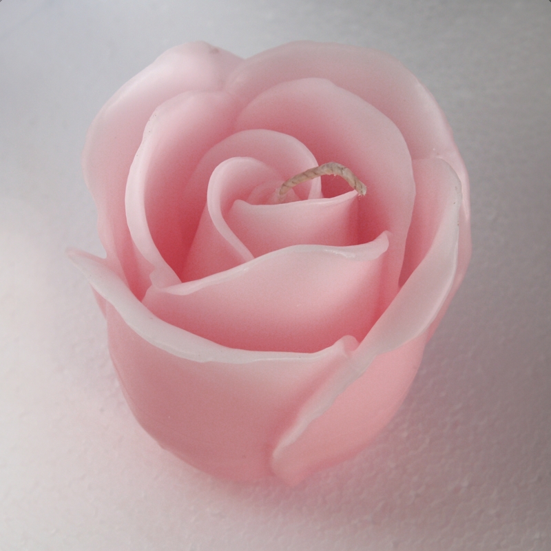 Kerze Tafelkerze Verlobung Hochzeit Festtafel große Rose hell-rosa Kerze Tafelkerze Verlobung Hochzeit Festtafel große Rose hell-rosa