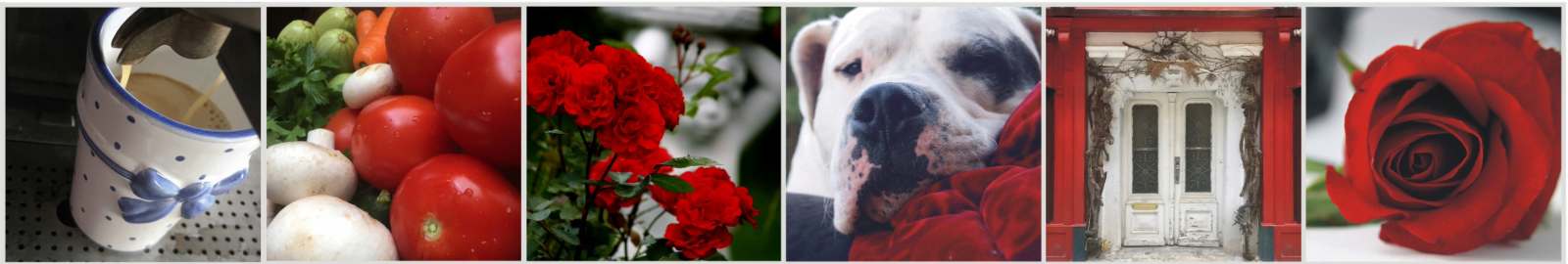 Antike Möbel Shop Österreich Versand Antiquitäten