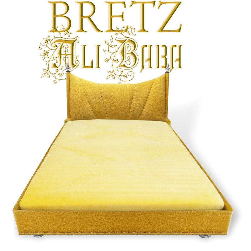 BRETZ Bett ALI BABA Doppelbett 180 x 200 cm Bretz Bett Ali Baba gebraucht