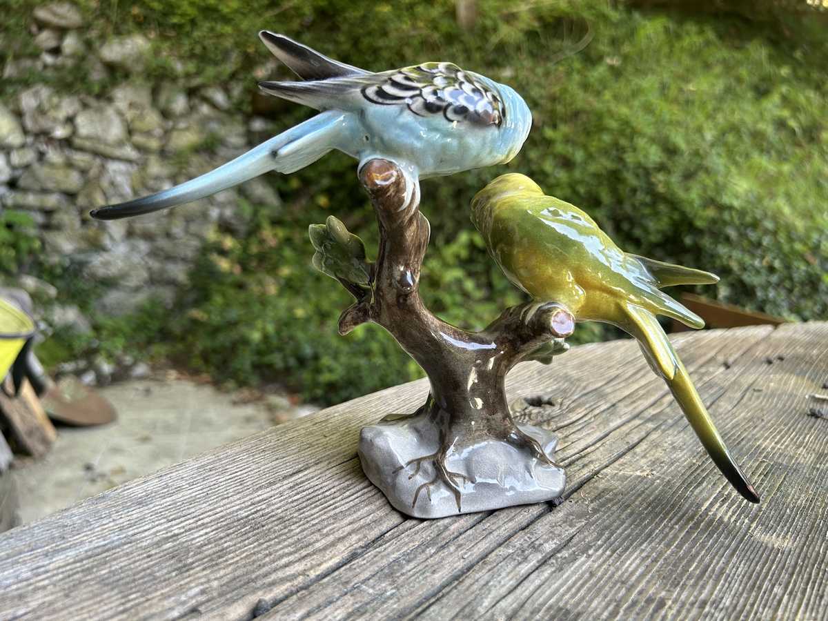 Porzellan Wellensittiche